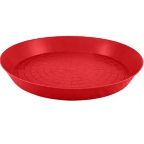 Chick Feeder - Image 2