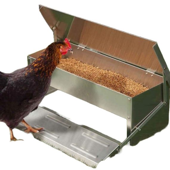 chicken feeder - Image 2