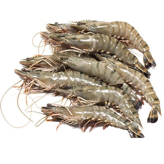 Prawns - Image 2