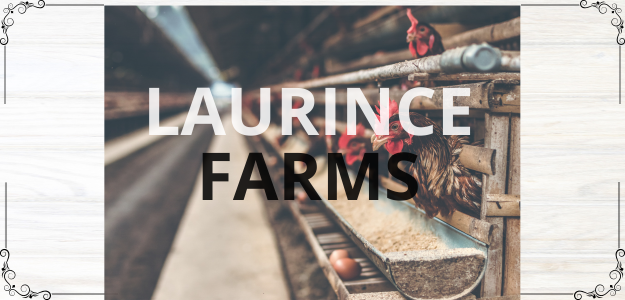 Laurince Farms