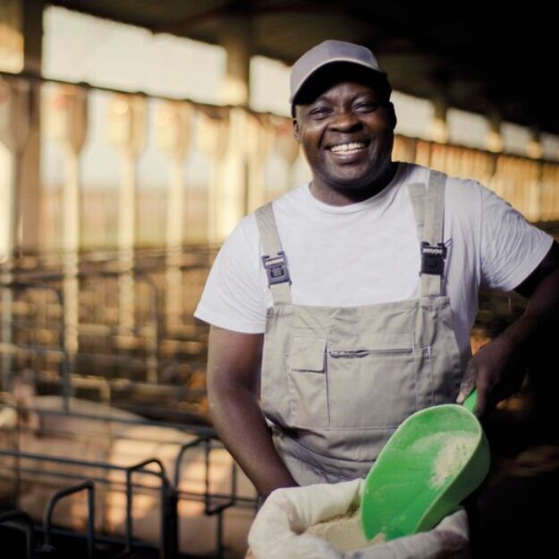 KAMGA FARM 656499667