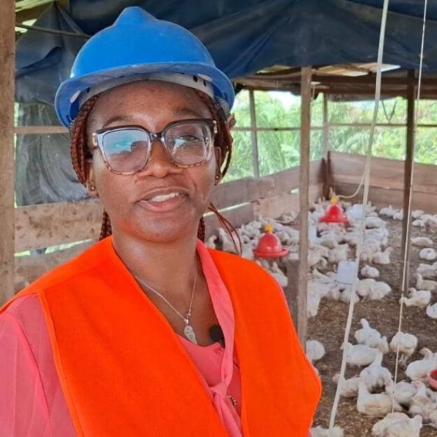 Belem’s Farm 699612687