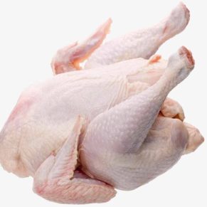 Broiler chicken