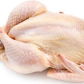 Broiler chicken